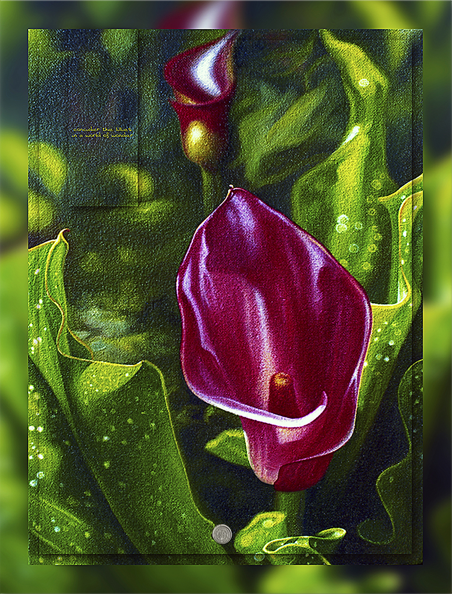 LILY FROM THE VALLEY 4 – Red Cala Lily - Image 2