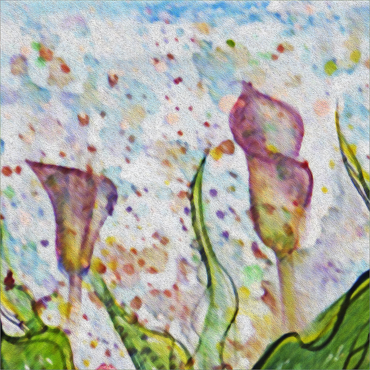 CONSIDER THE LILLIES 1 - Red Cala Lily - Image 4