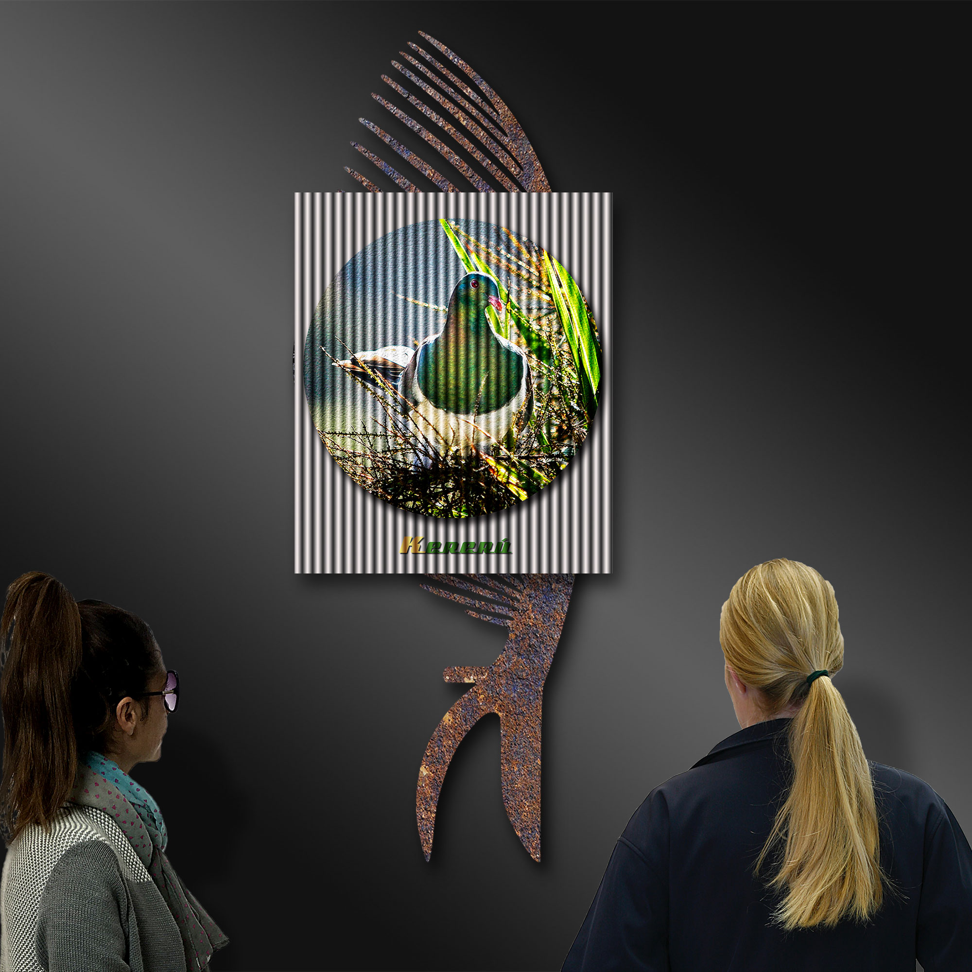 Kereru Wood Pigeon, photography by Ian Anderson.