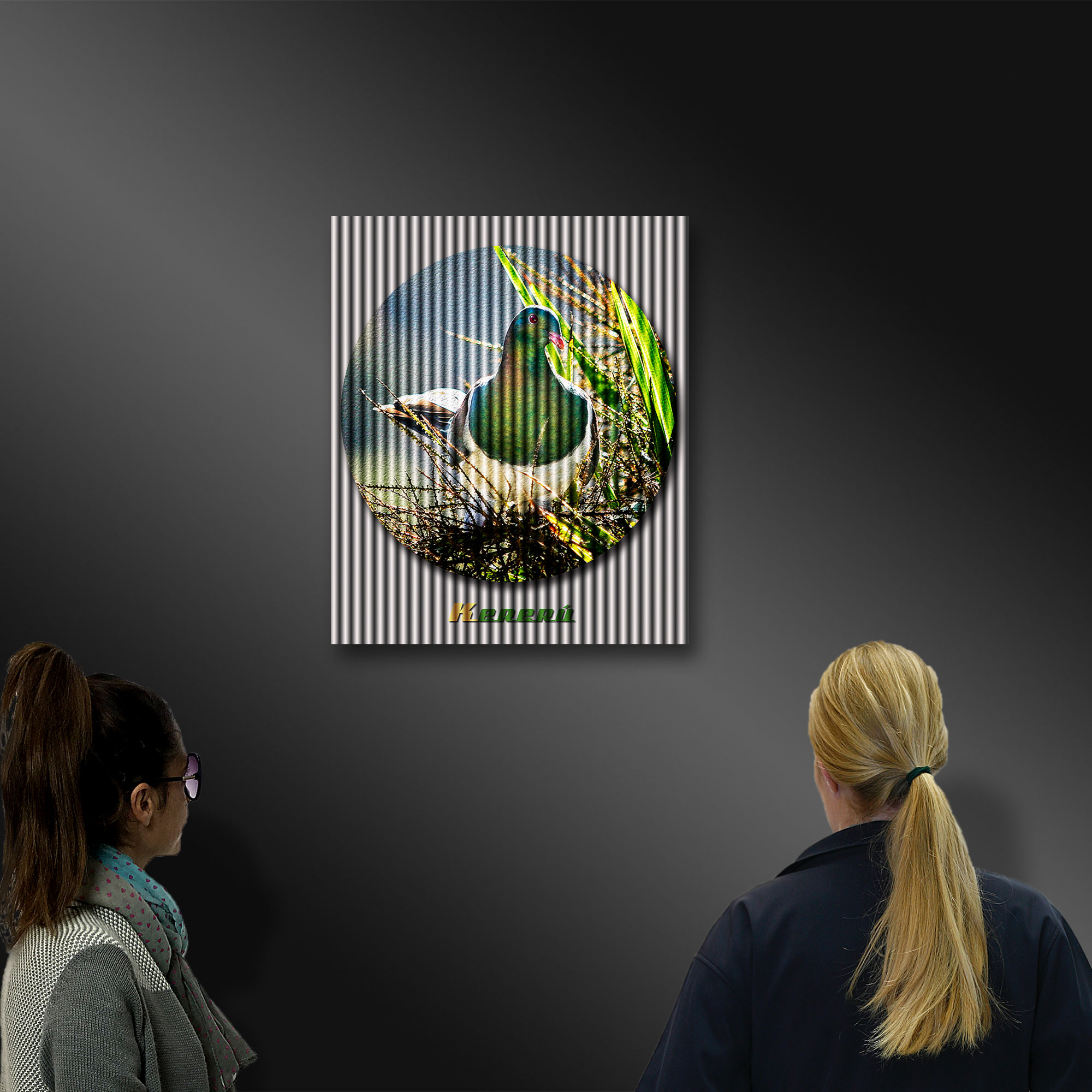 Kereru Wood Pigeon, photography by Ian Anderson.