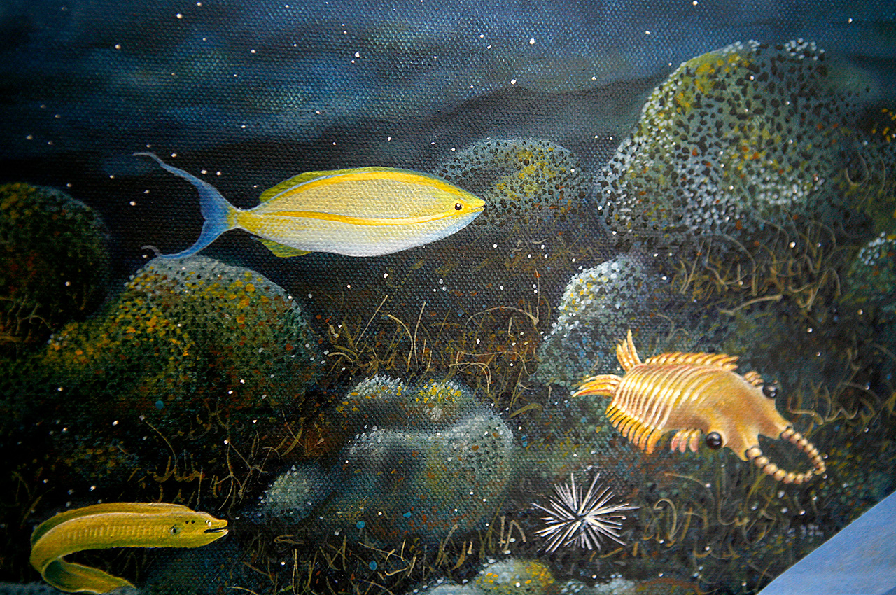 Dolphins universe animals birds - Tropical-Fish-Electric-Eel - Oil painting 5