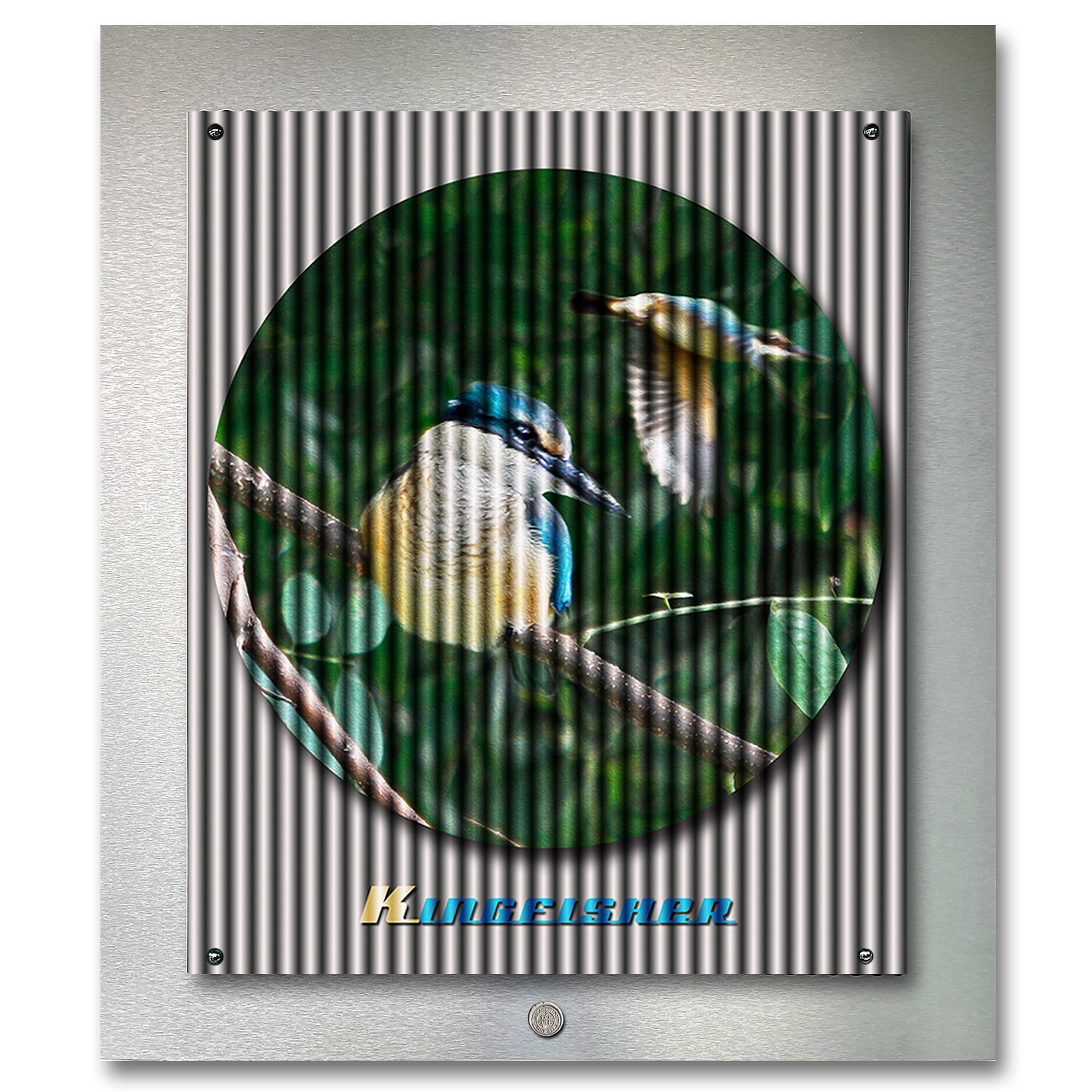 Kingfishers peace-filled photography by Ian Anderson.