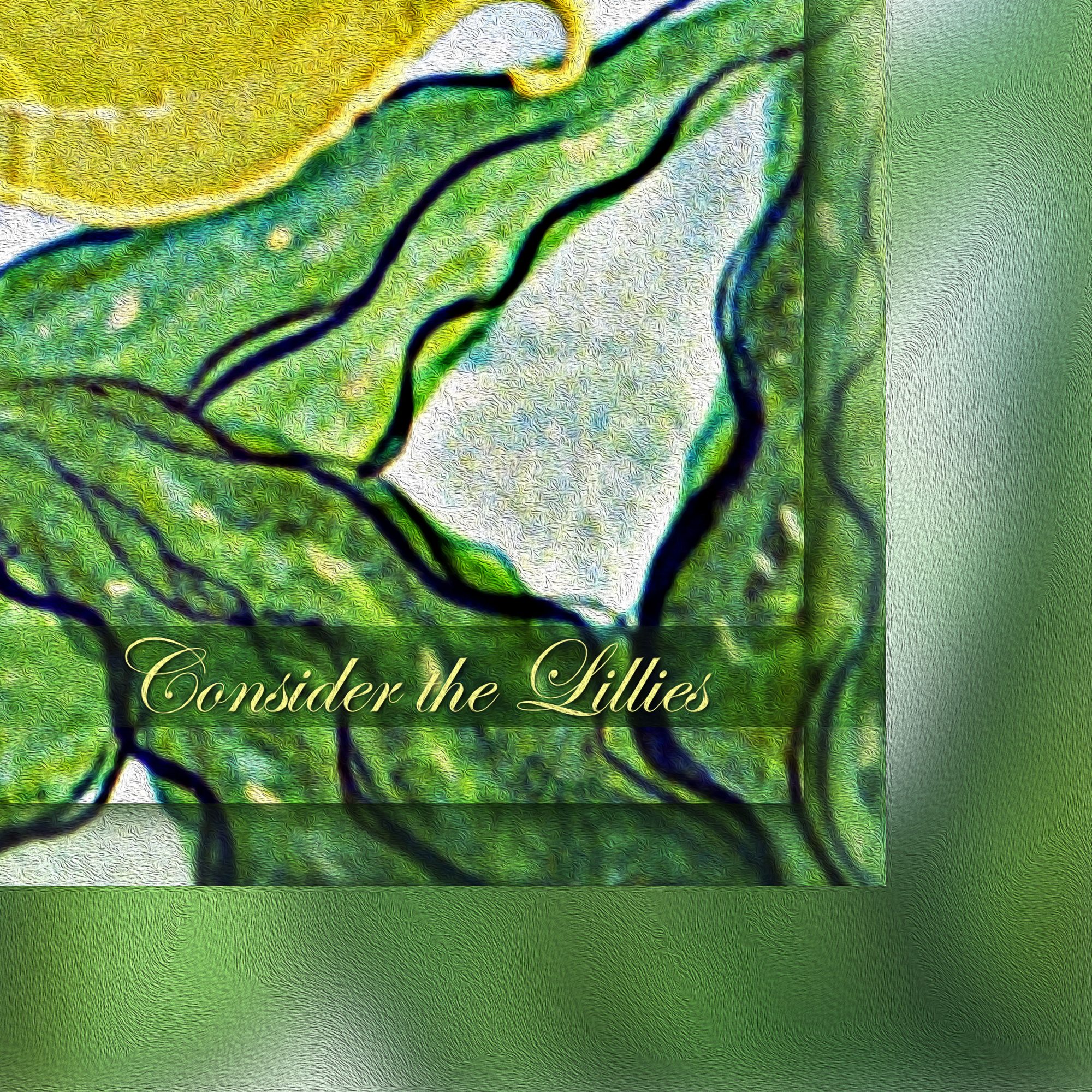 CONSIDER THE LILLIES 2 - Yellow Cala Lily - Image 7