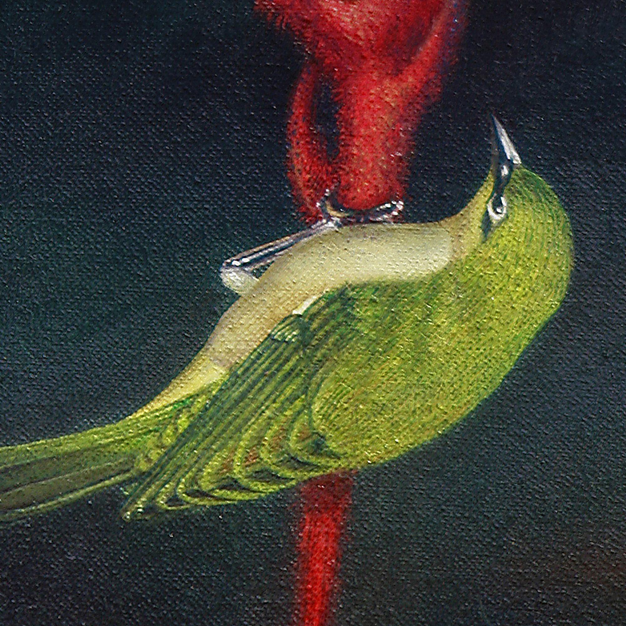 FLORA & FAUNA - In Gondwana Land - Image 5