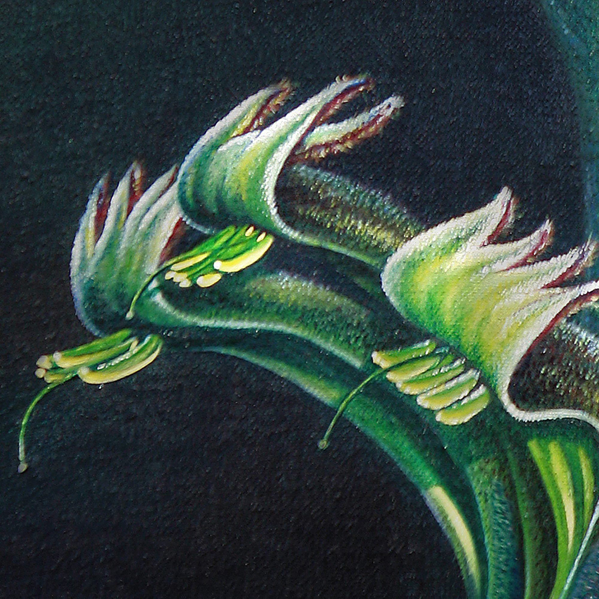 FLORA & FAUNA - In Gondwana Land - Image 4